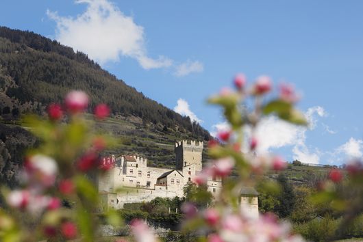 Die Churburg in Schluderns. Foto: IDM Südtirol/Frieder Blickle